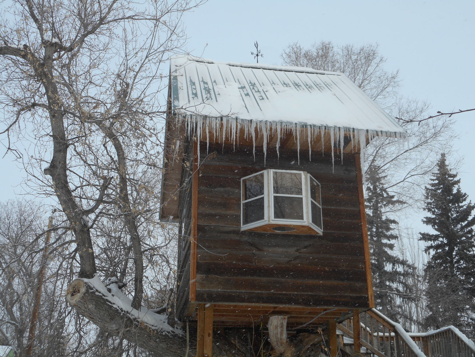 Little cabin in the woods